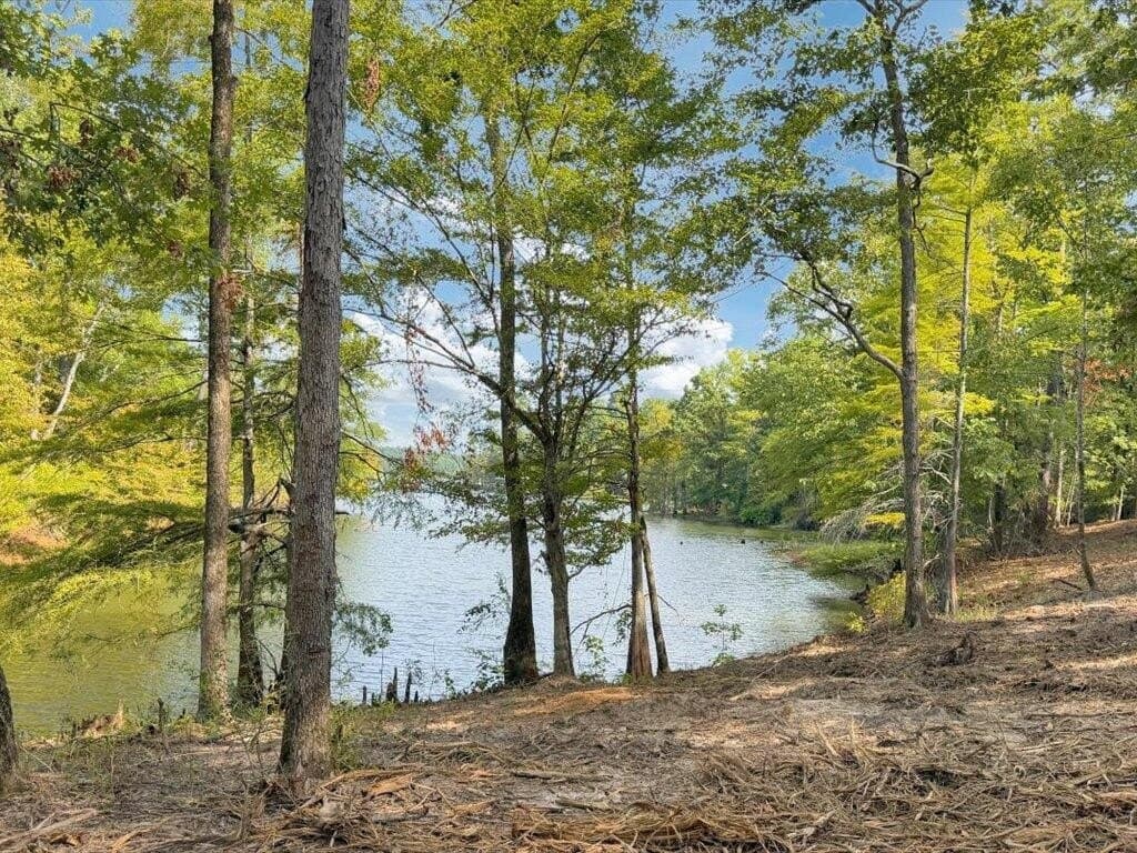 31.34 acres in Texas County - photo 11