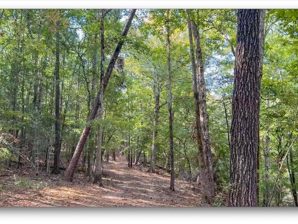 31.34 acres in Texas County - photo 16