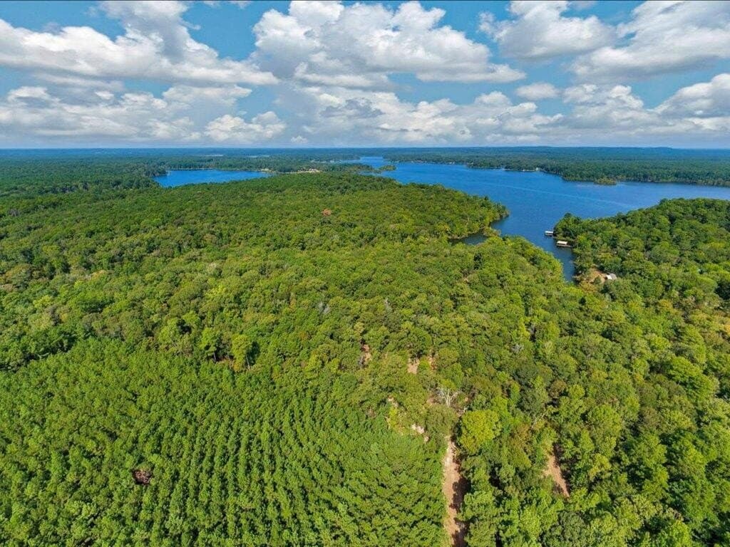 31.34 acres in Texas County - photo 9