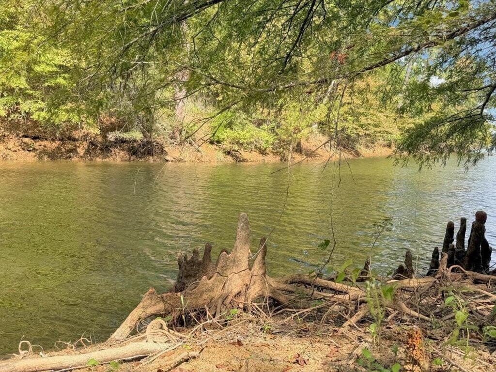 31.34 acres in Texas County - photo 14