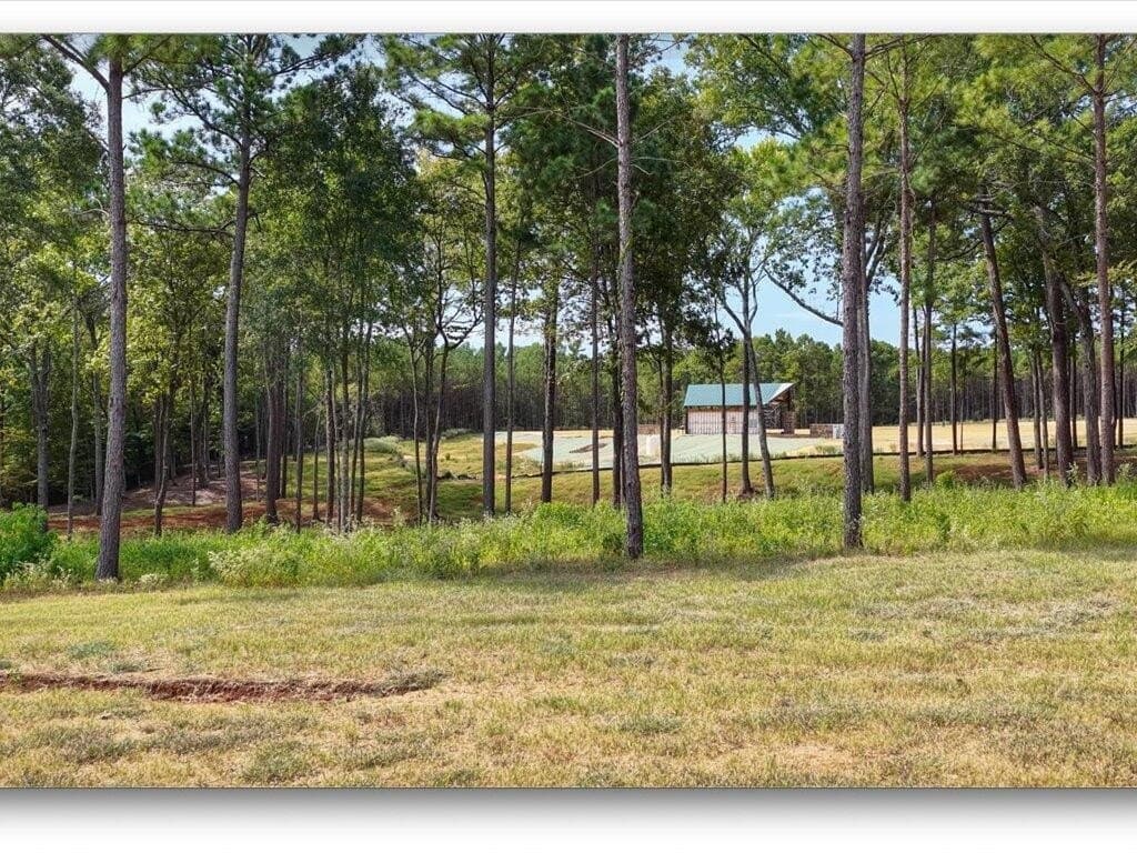 31.34 acres in Texas County - photo 19