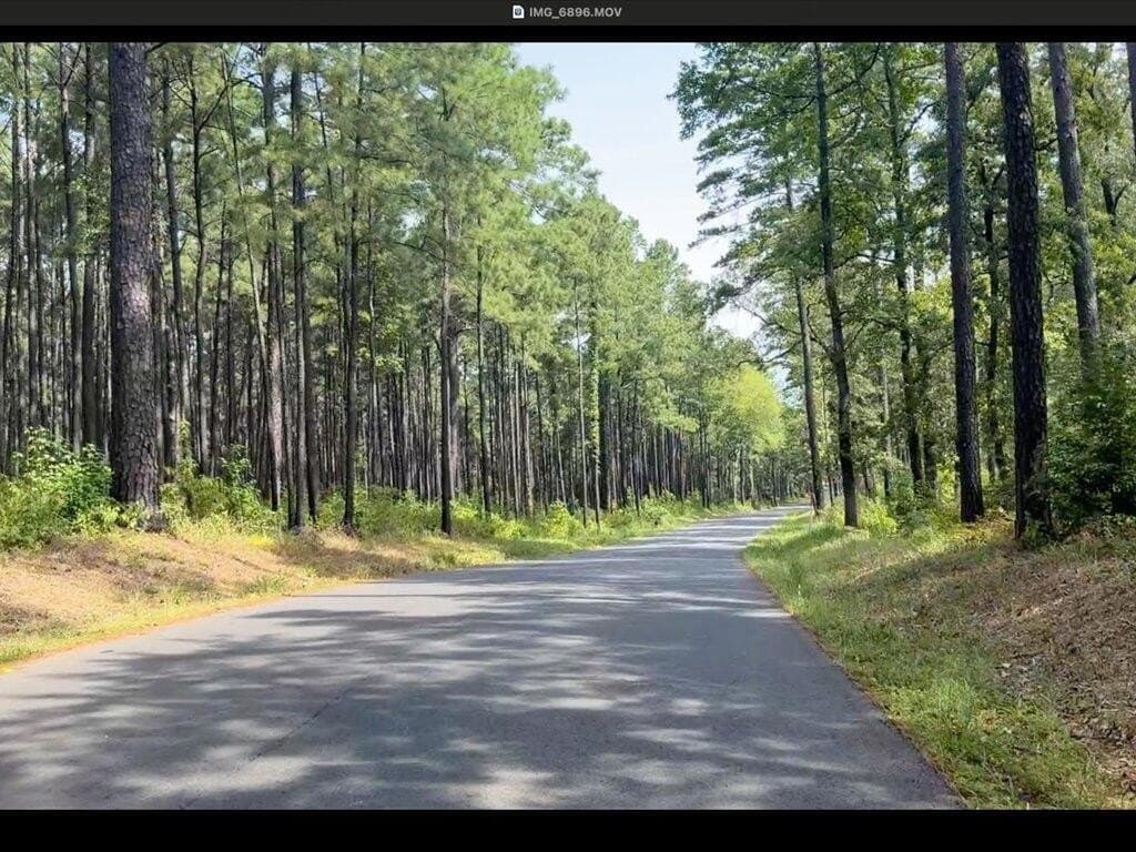 31.34 acres in Texas County - photo 18