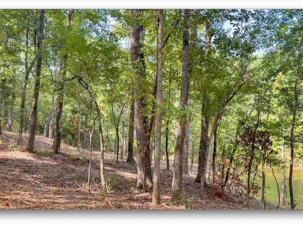31.34 acres in Texas County - photo 15