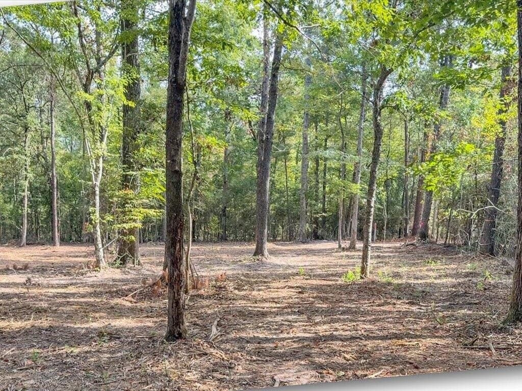 31.34 acres in Texas County - photo 17