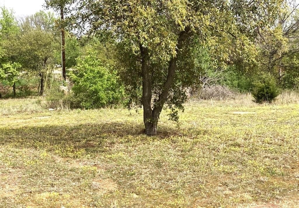0.25 acres in Young County gallery image 4
