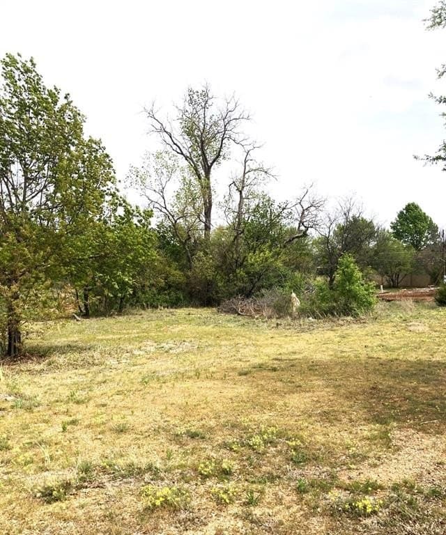 0.25 acres in Young County gallery image 2