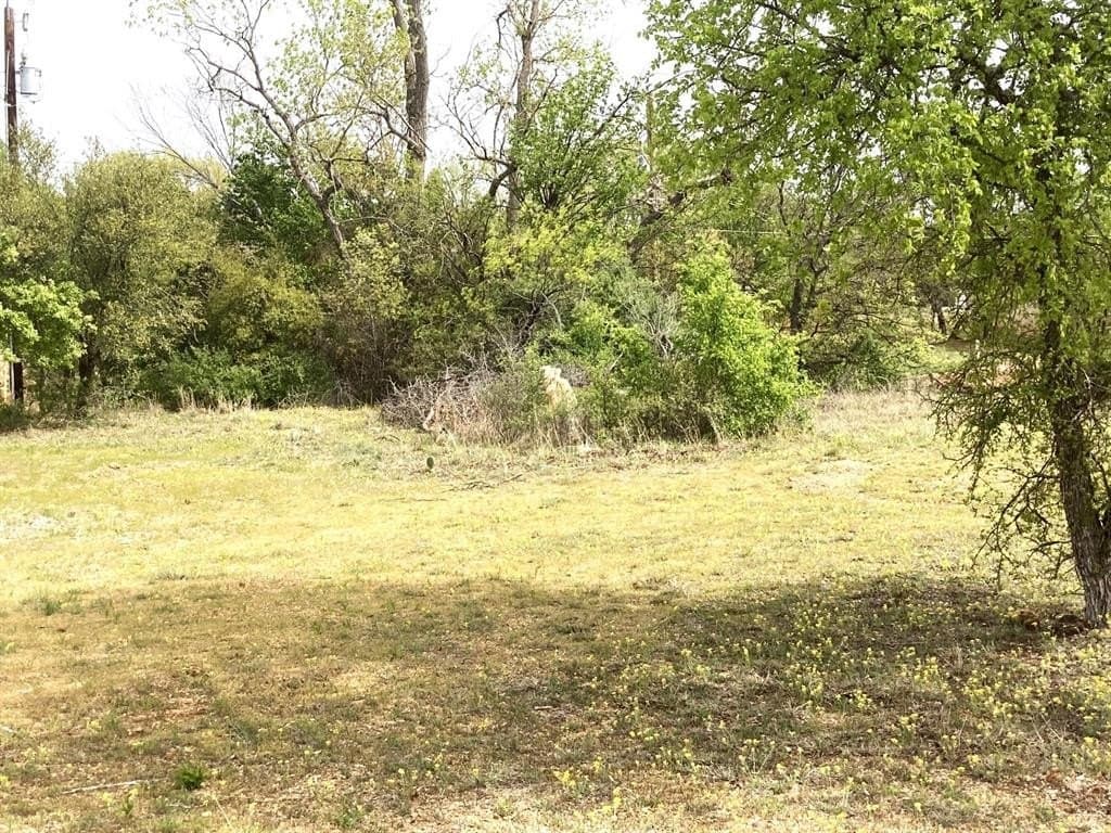 0.25 acres in Young County gallery image 3