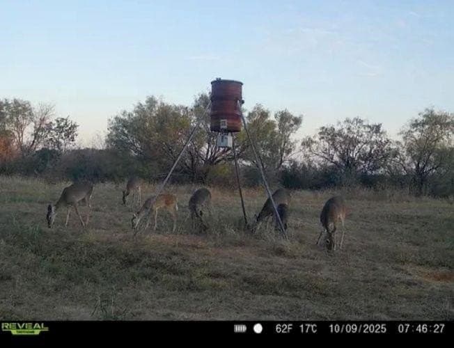 61.19 acres in Mills County - photo 18