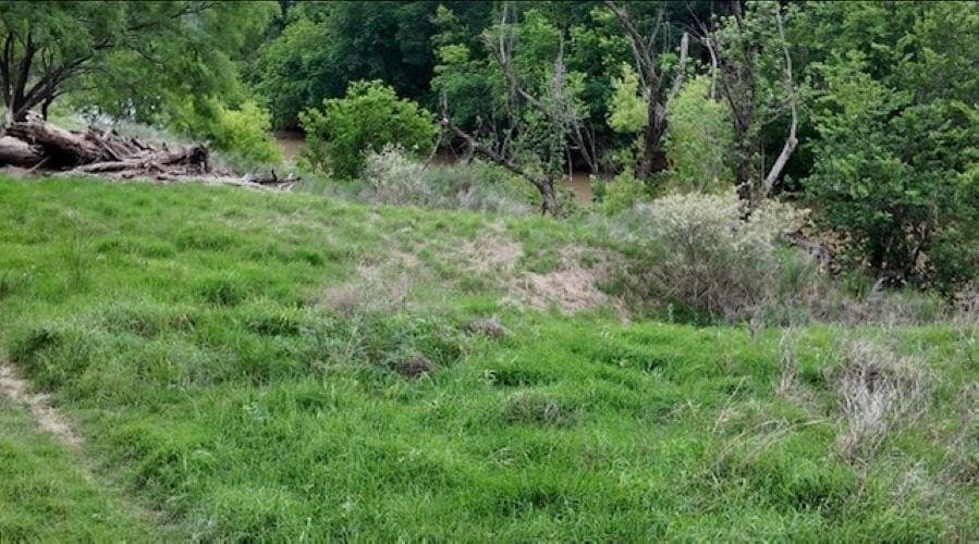 61.19 acres in Mills County - photo 13