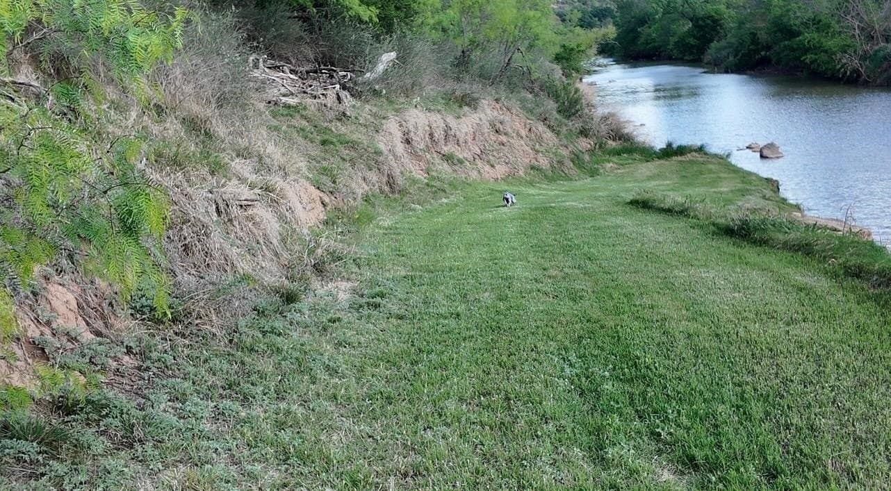 61.19 acres in Mills County gallery image 2
