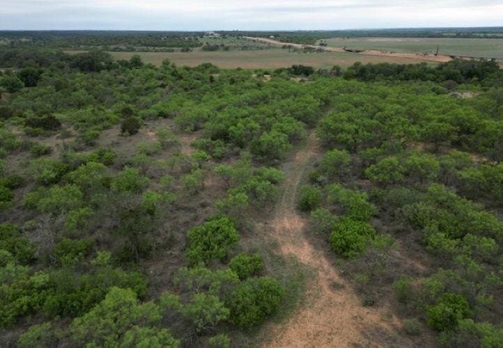 61.19 acres in Mills County - photo 10