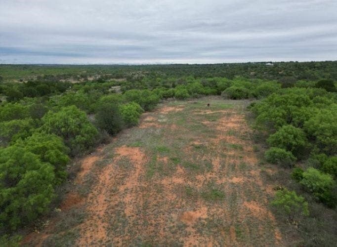 61.19 acres in Mills County - photo 9