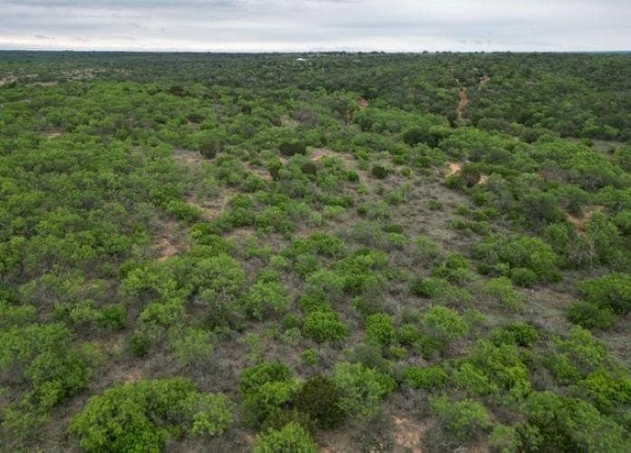 61.19 acres in Mills County - photo 12