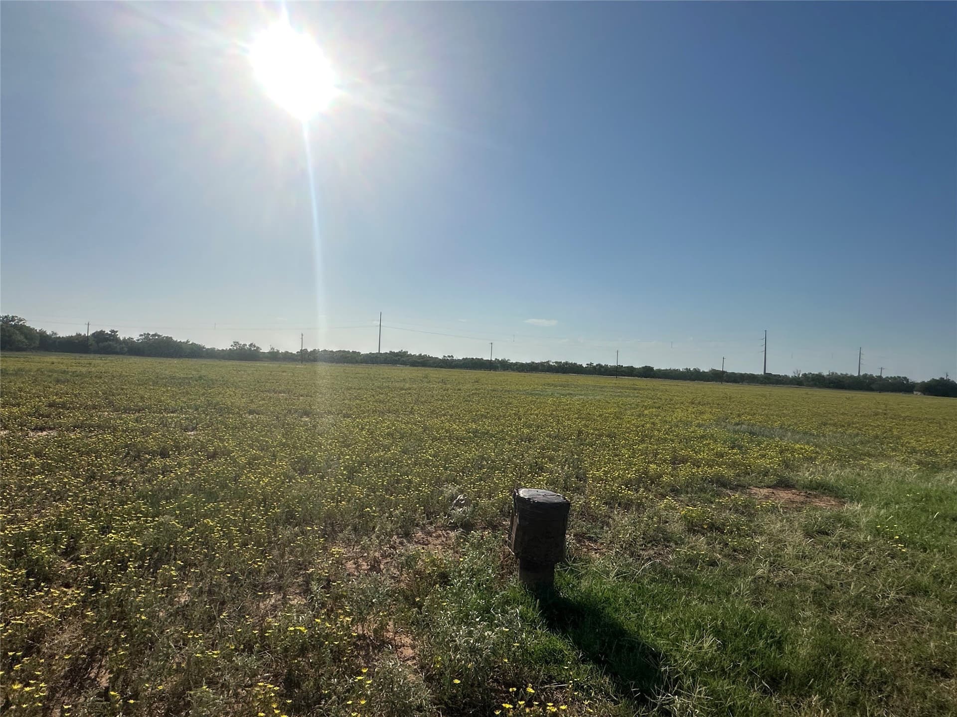 14 acres in Knox County - photo 11