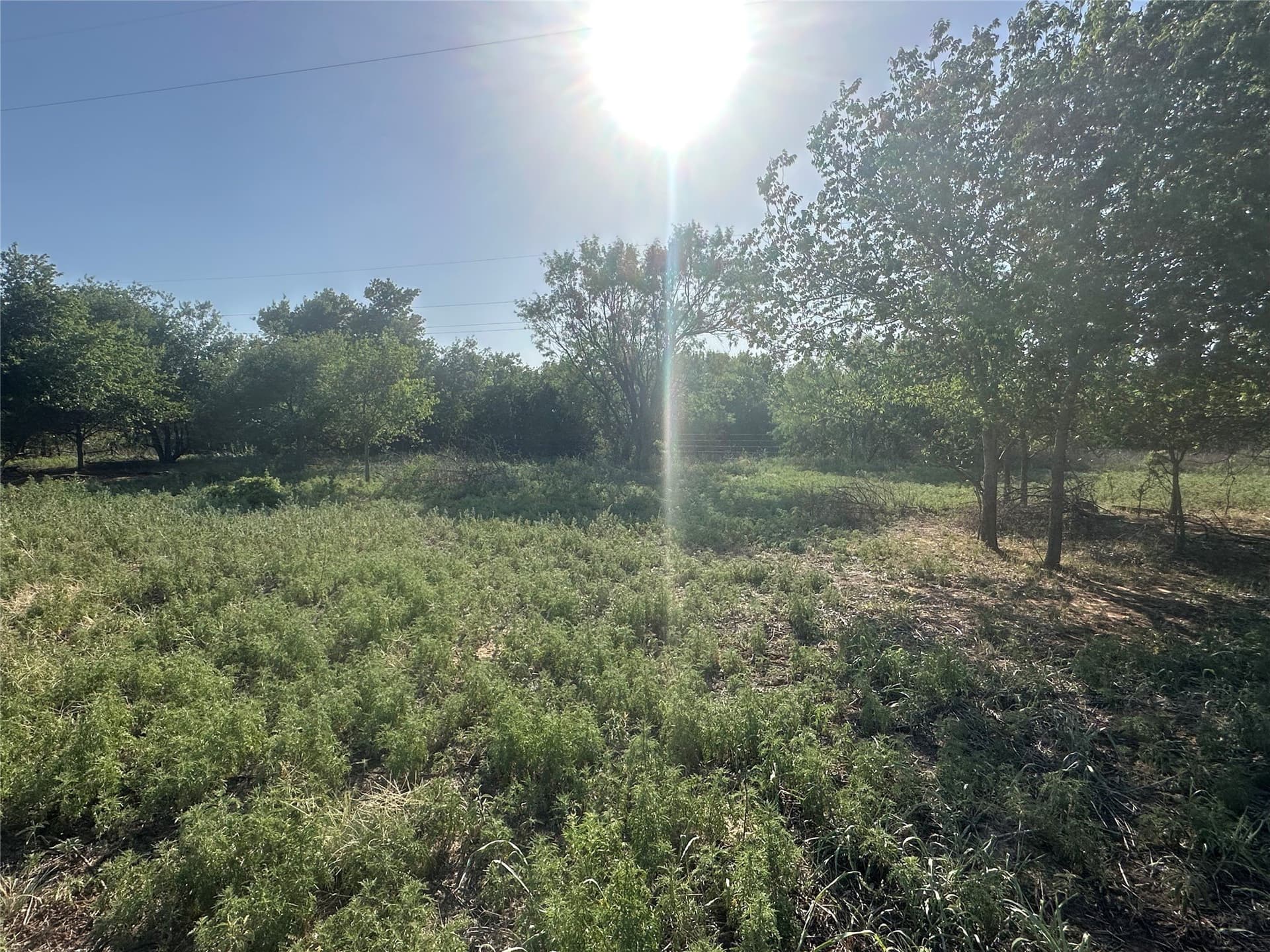 14 acres in Knox County - photo 10