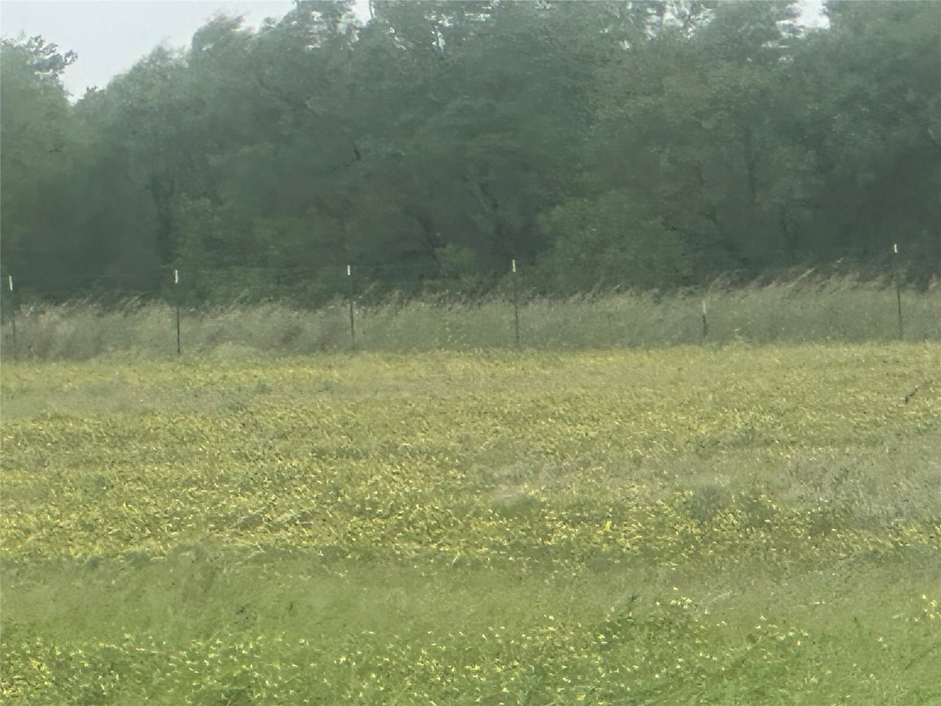 14 acres in Knox County - photo 18