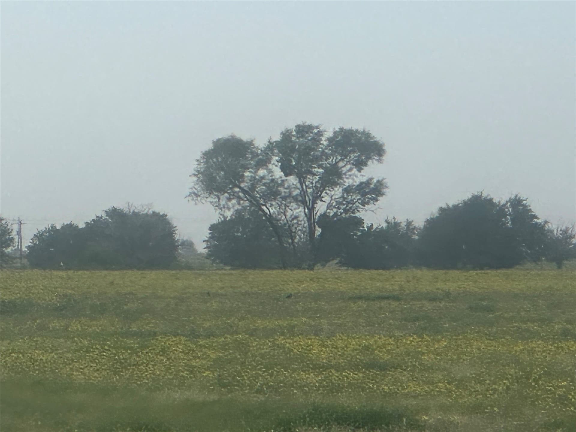 14 acres in Knox County - photo 21