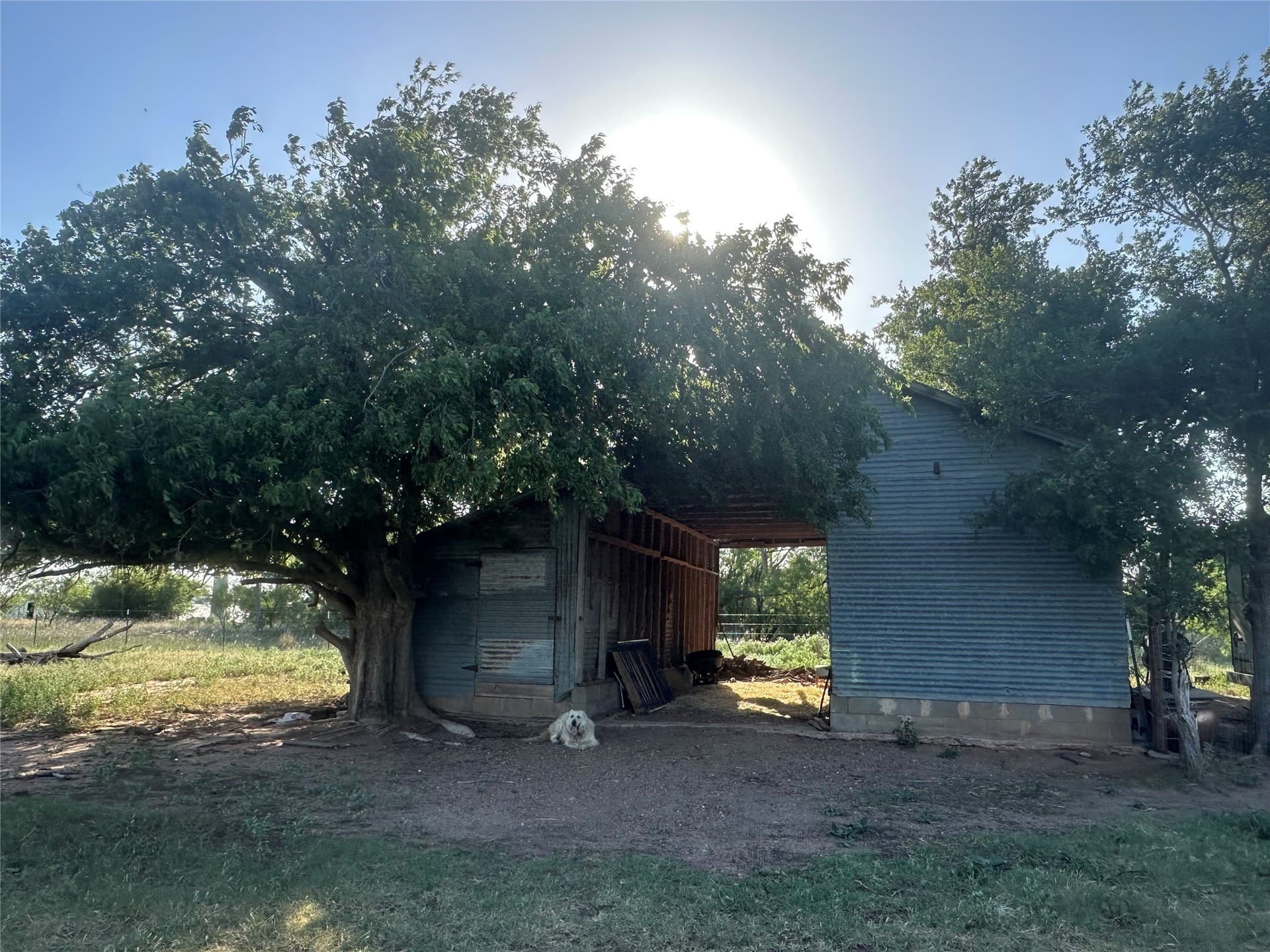 14 acres in Knox County - photo 13