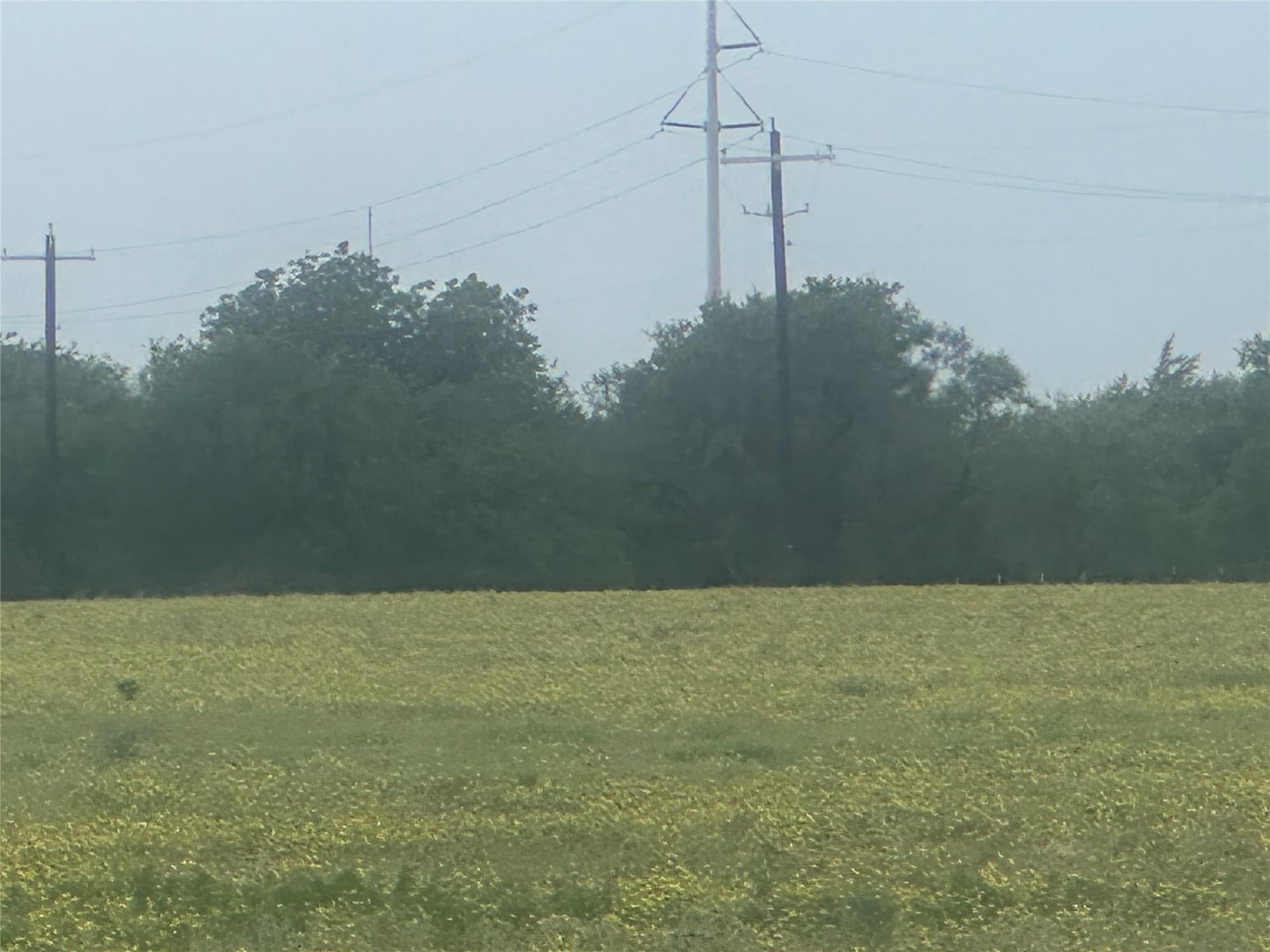 14 acres in Knox County - photo 19