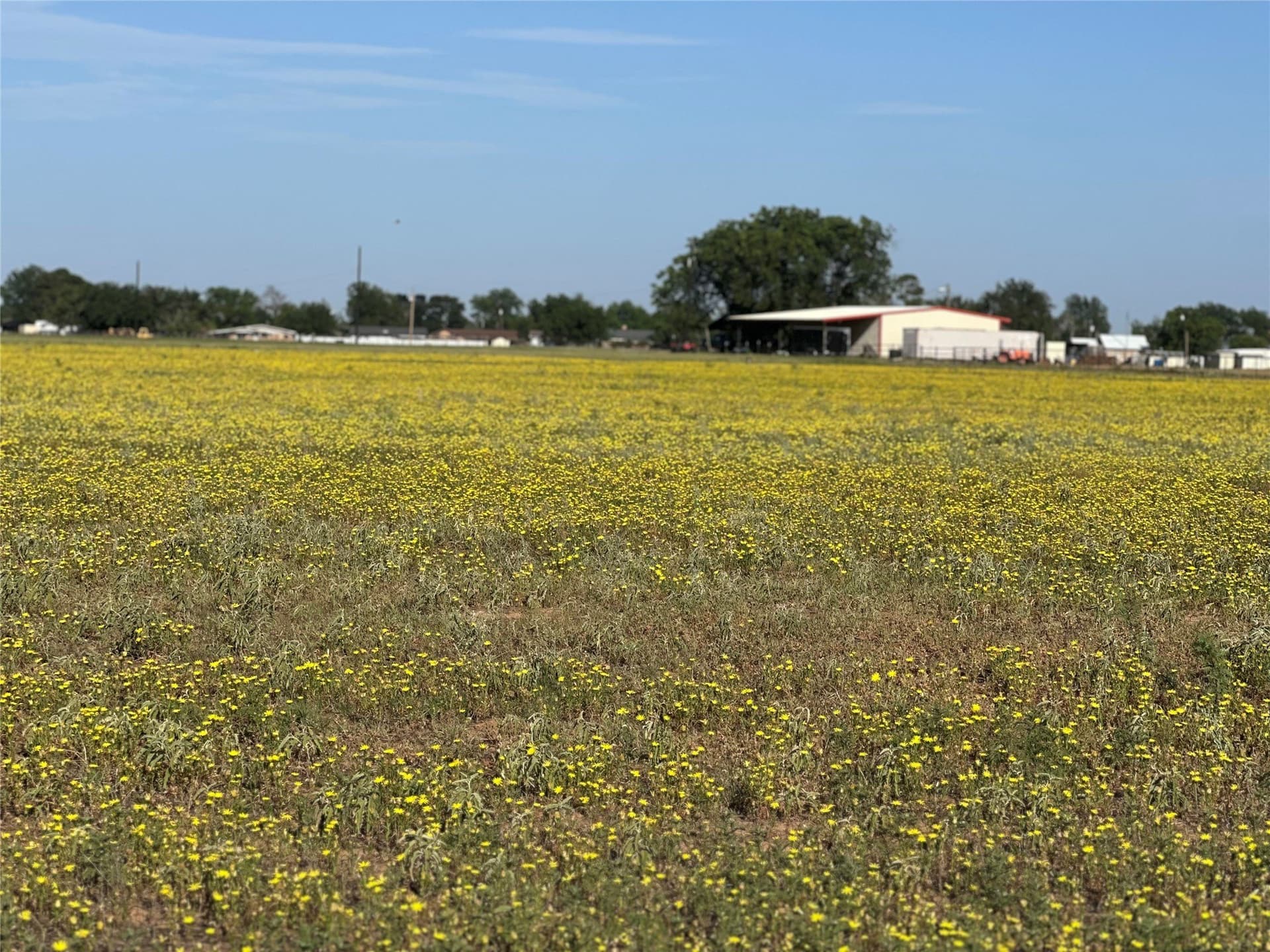 14 acres in Knox County gallery image 2