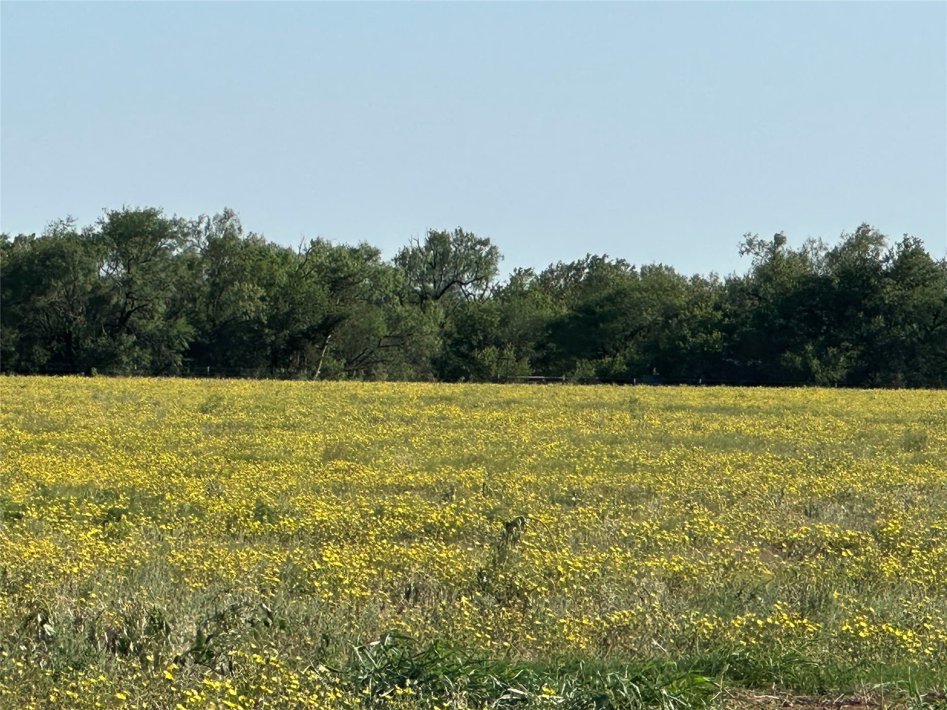 14 acres in Knox County gallery image 3