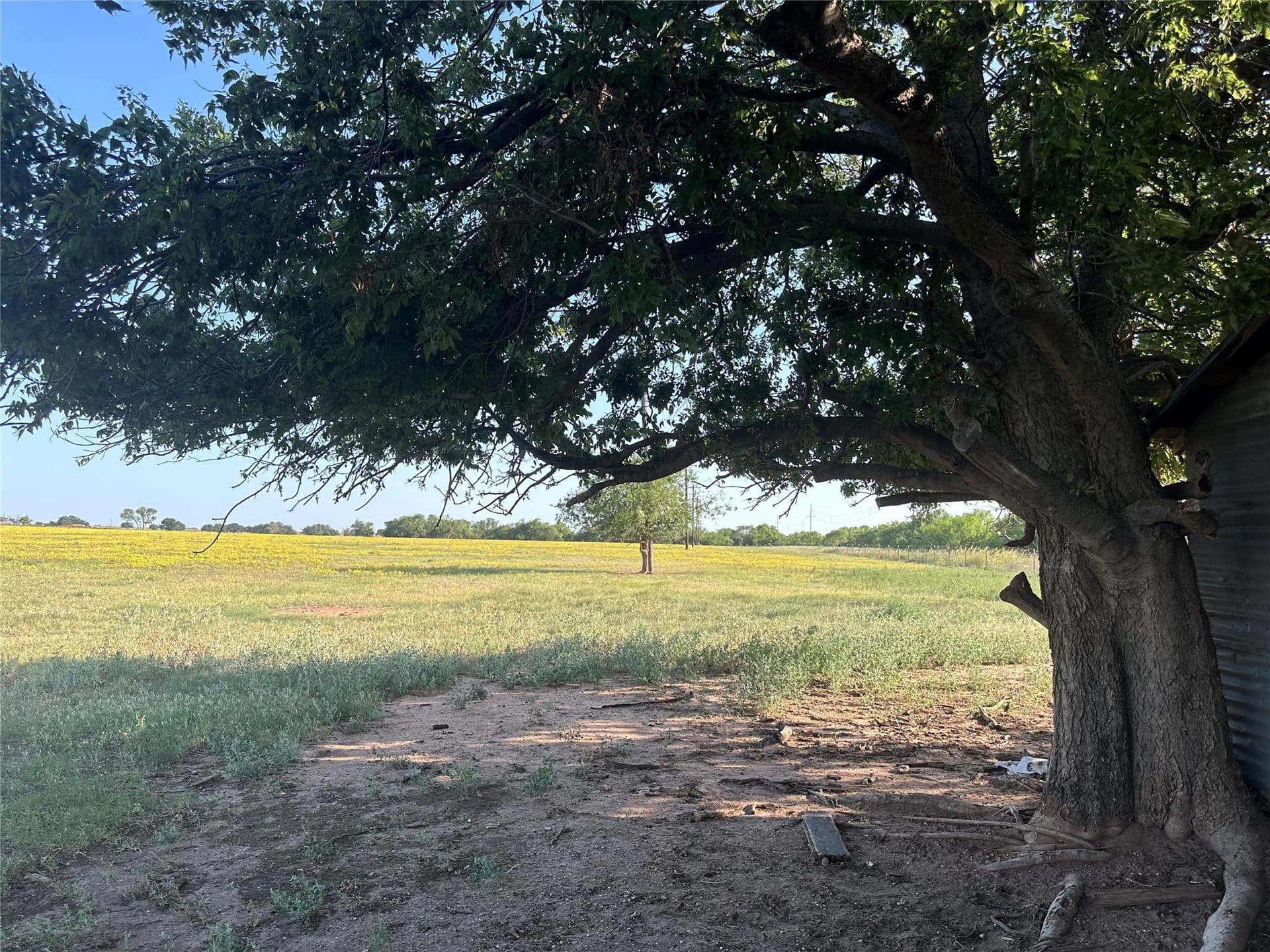 14 acres in Knox County featured view