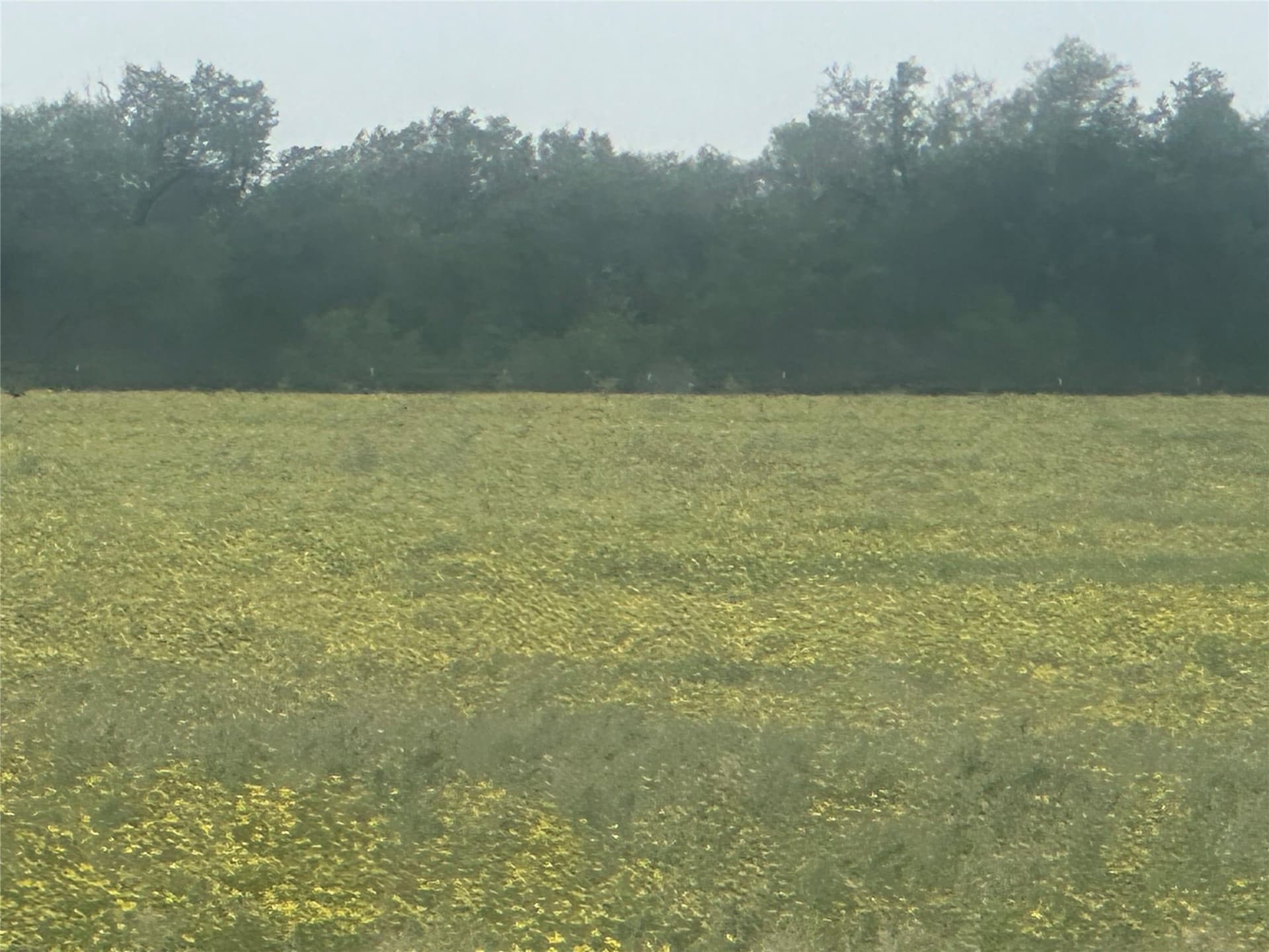 14 acres in Knox County - photo 20