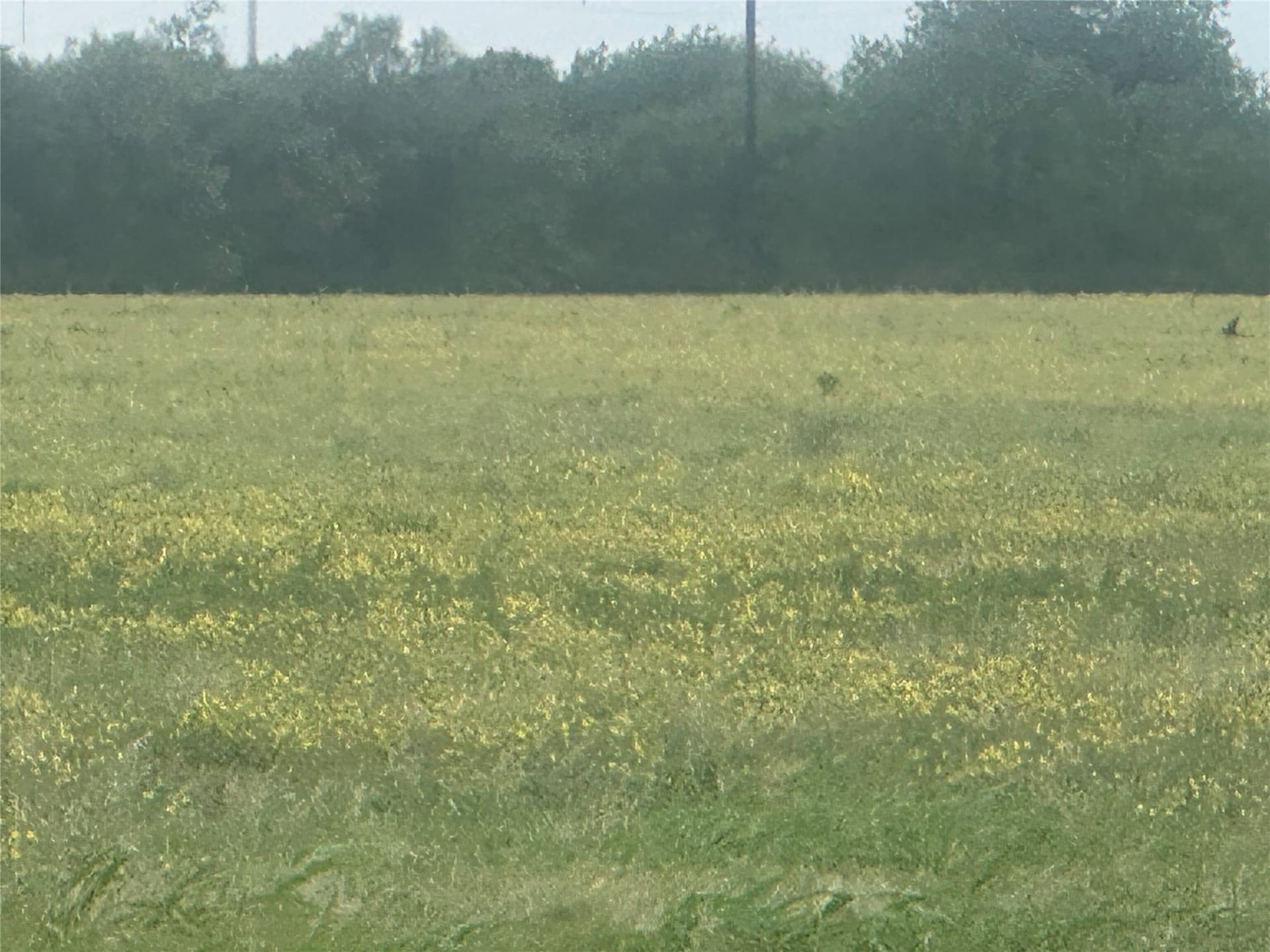 14 acres in Knox County - photo 16