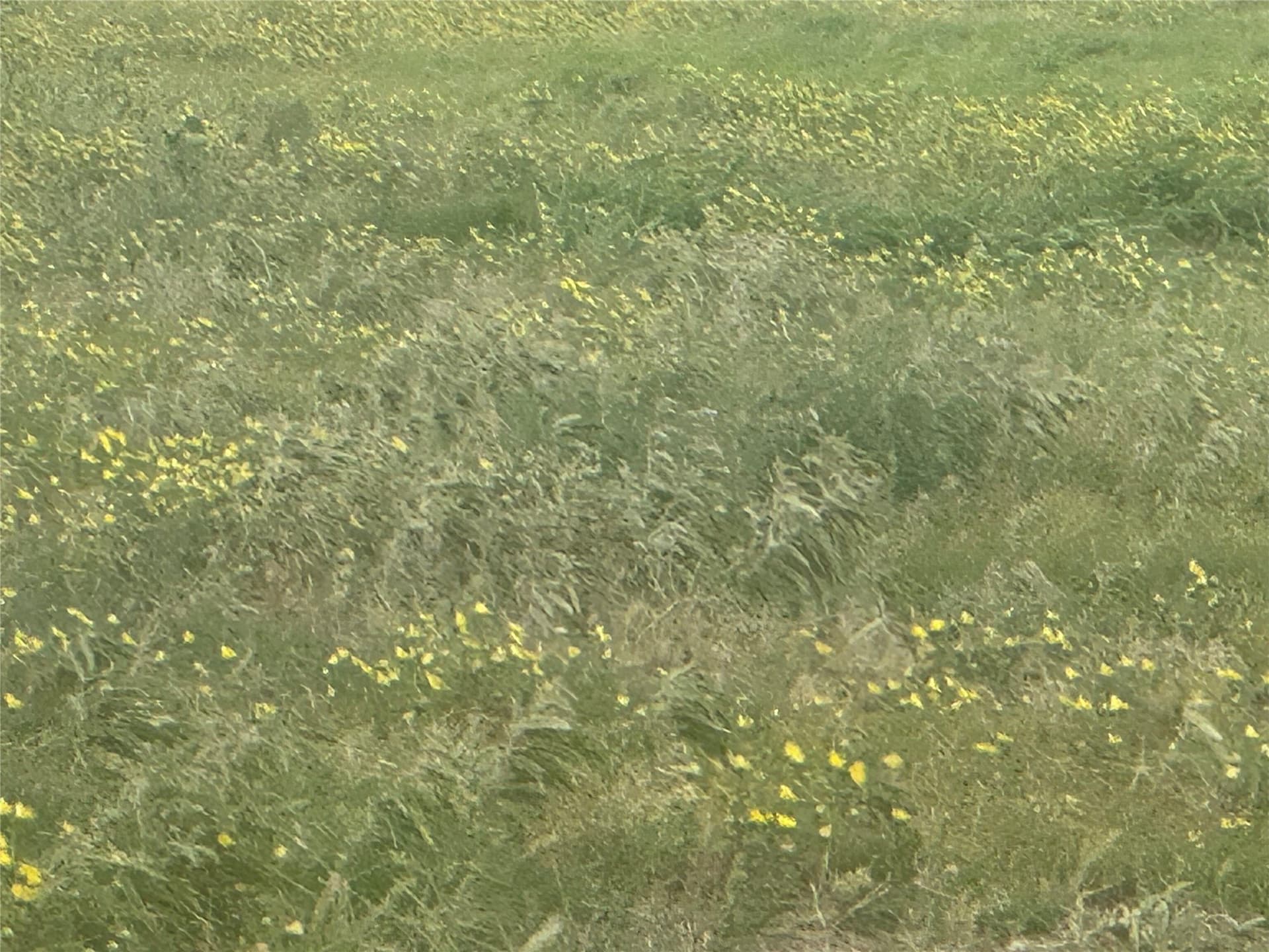 14 acres in Knox County - photo 17