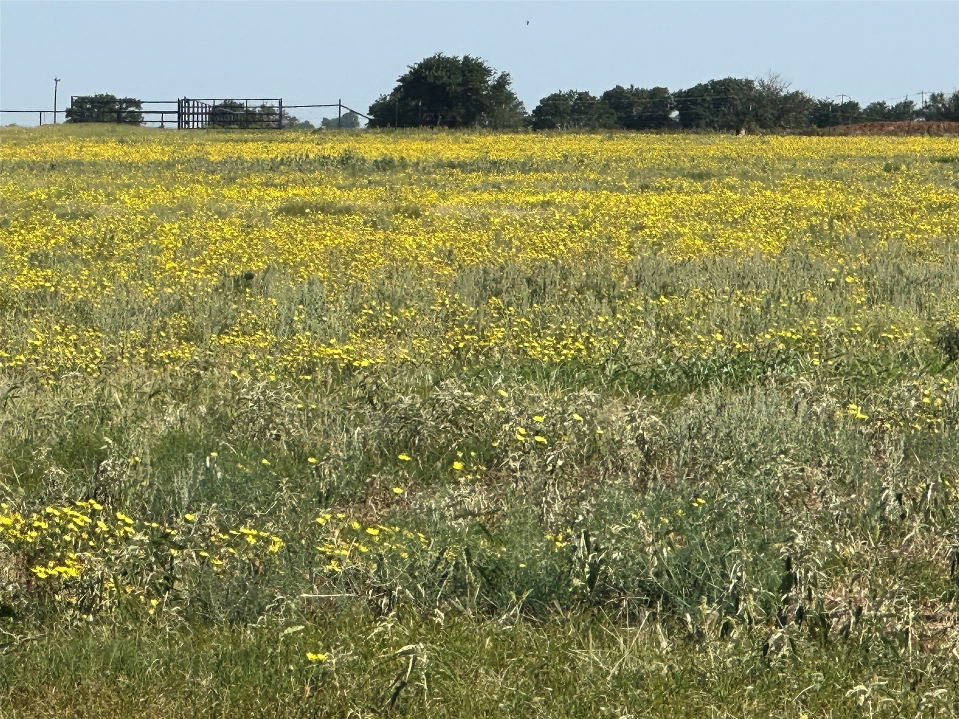 14 acres in Knox County