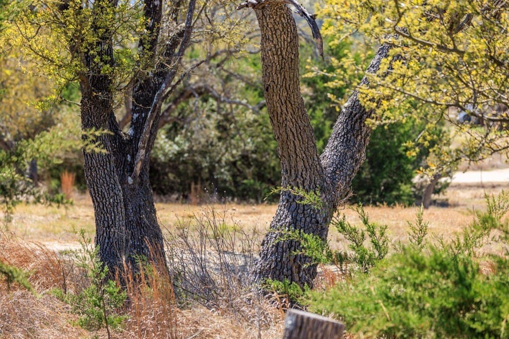 5.01 acres in Gillespie County - photo 10