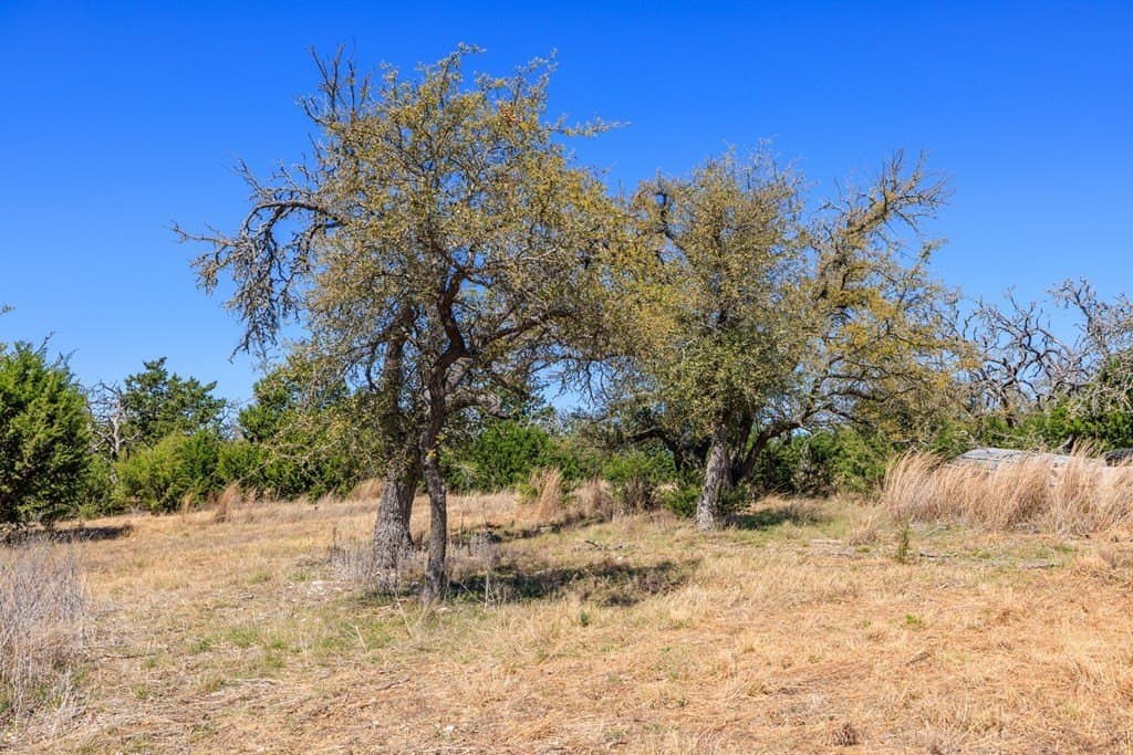 5.01 acres in Gillespie County - photo 21