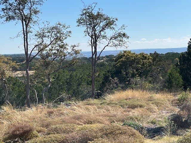 10.02 acres in Gillespie County gallery image 4