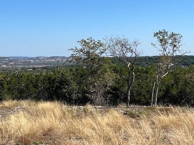 10.02 acres in Gillespie County