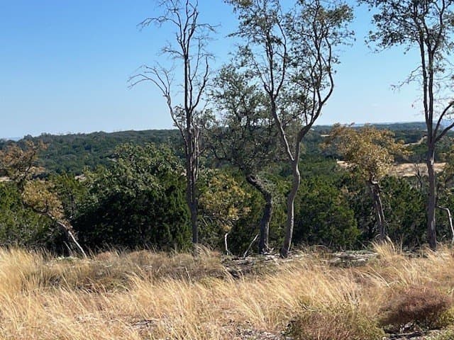 10.02 acres in Gillespie County gallery image 3