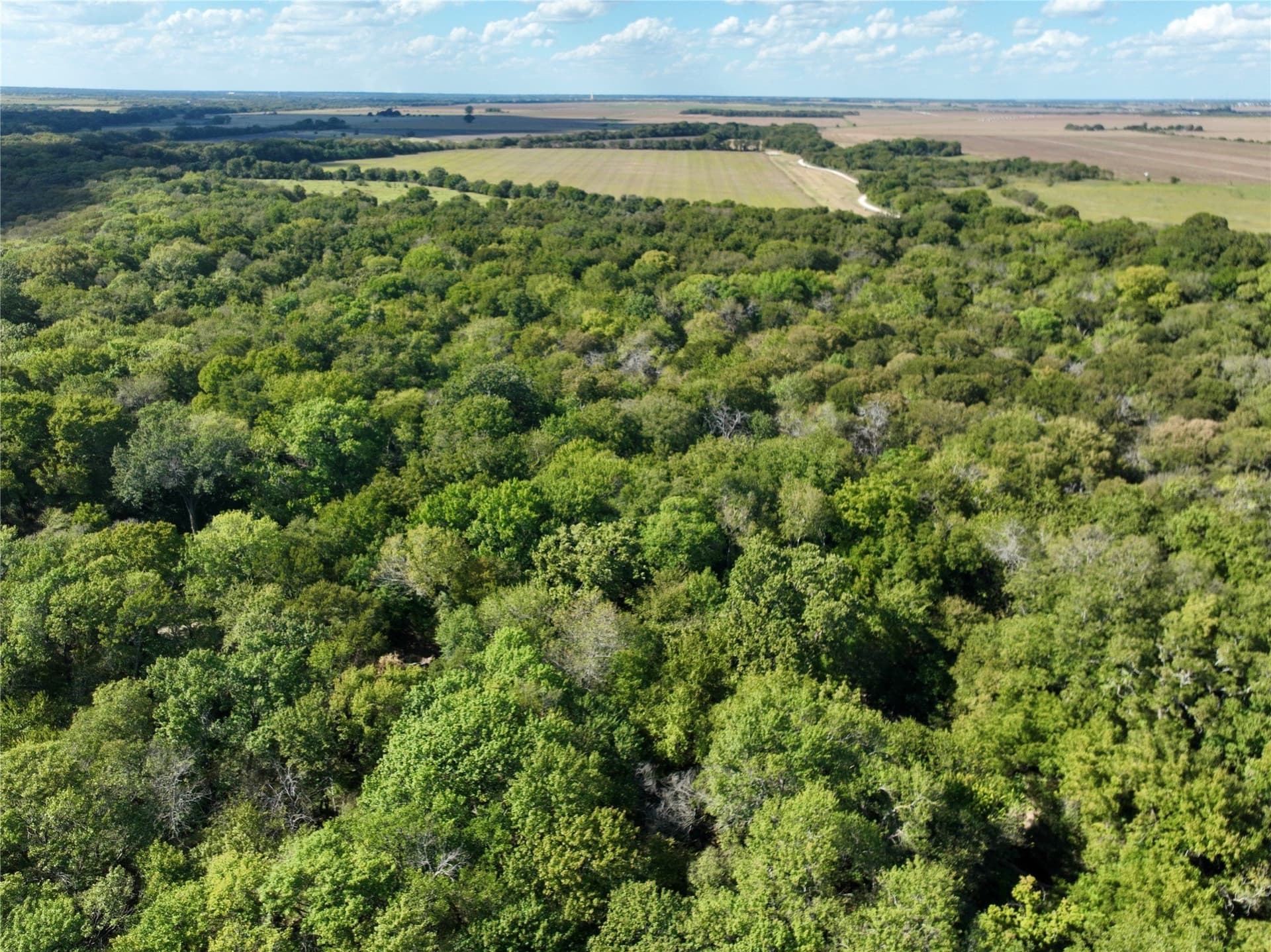 1,391.08 acres in Ellis County - photo 22