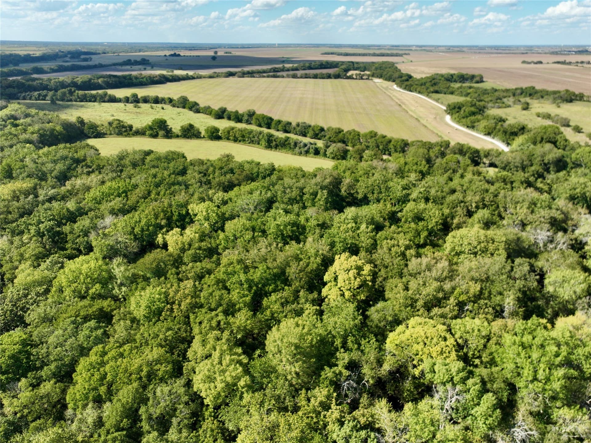 1,391.08 acres in Ellis County - photo 23
