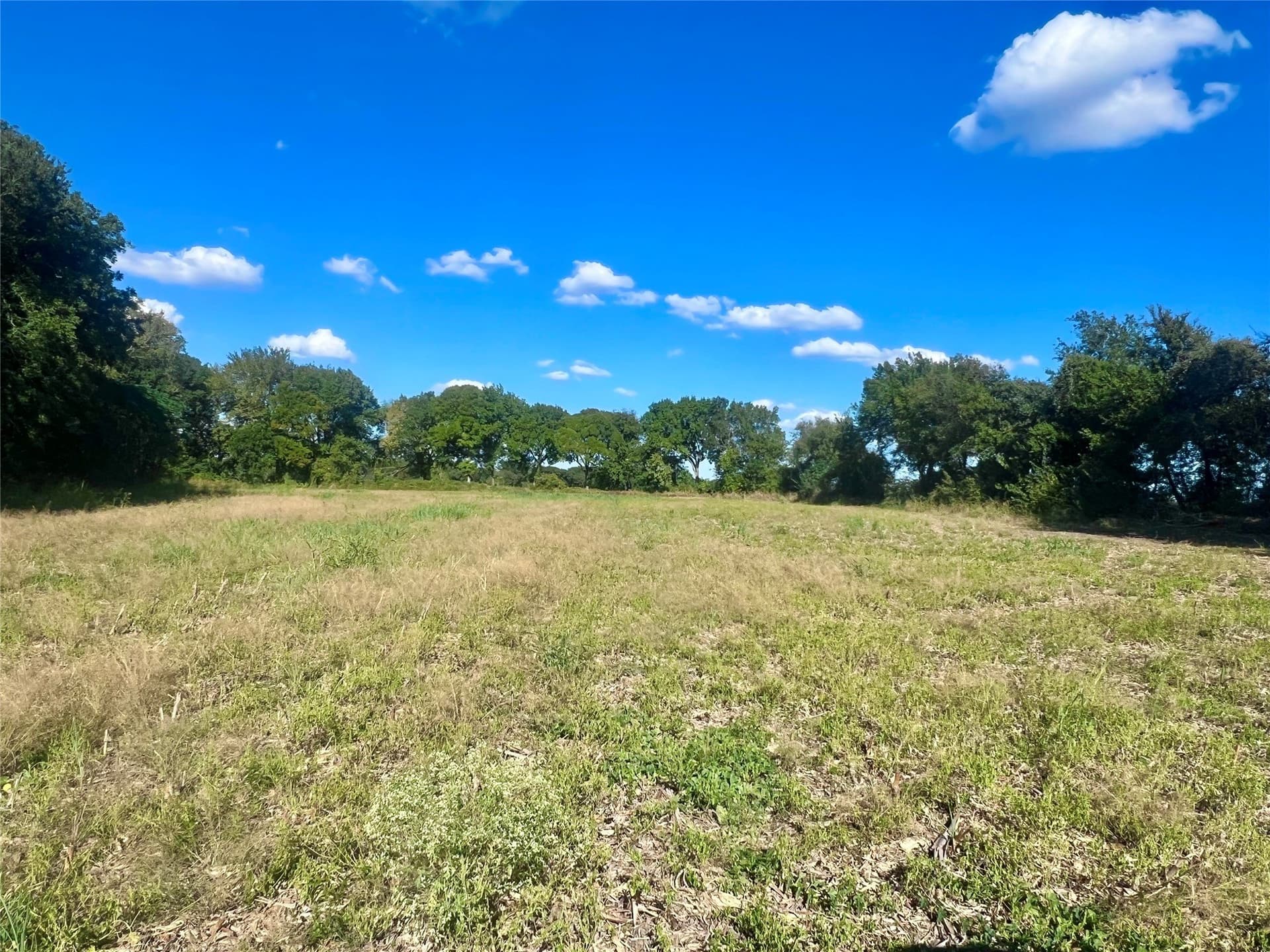 1,391.08 acres in Ellis County - photo 33