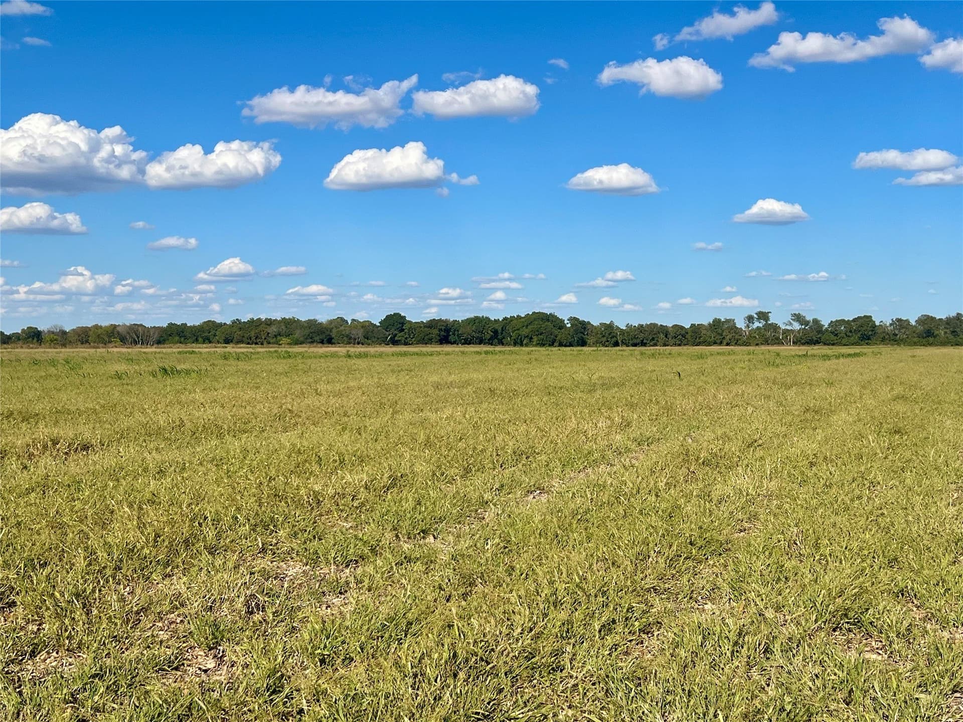 1,391.08 acres in Ellis County - photo 32