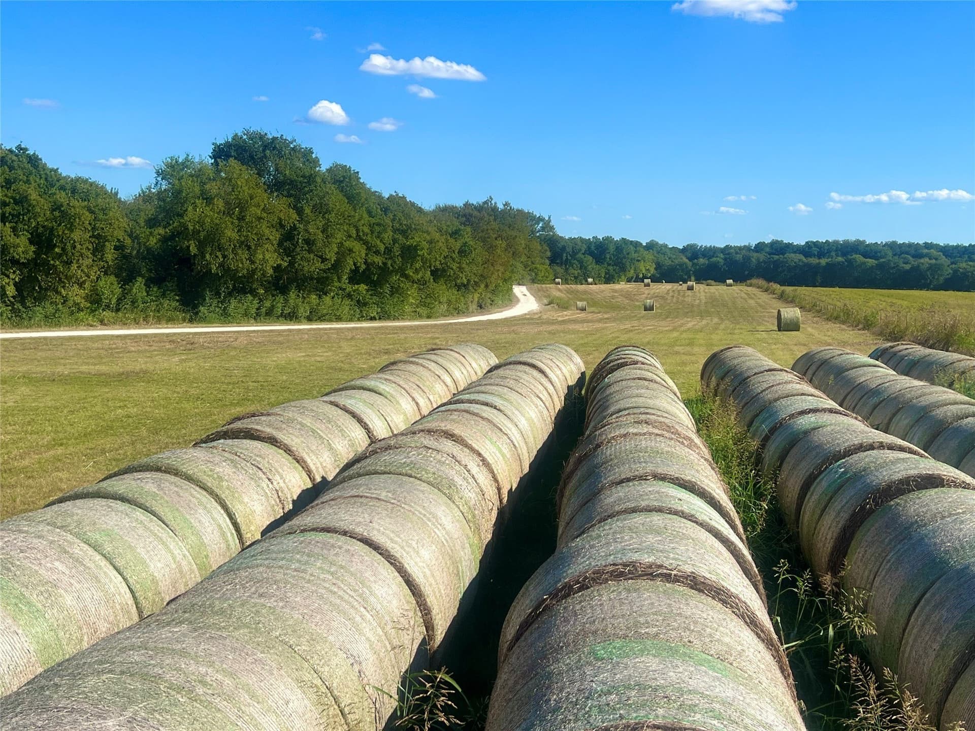 1,391.08 acres in Ellis County - photo 24