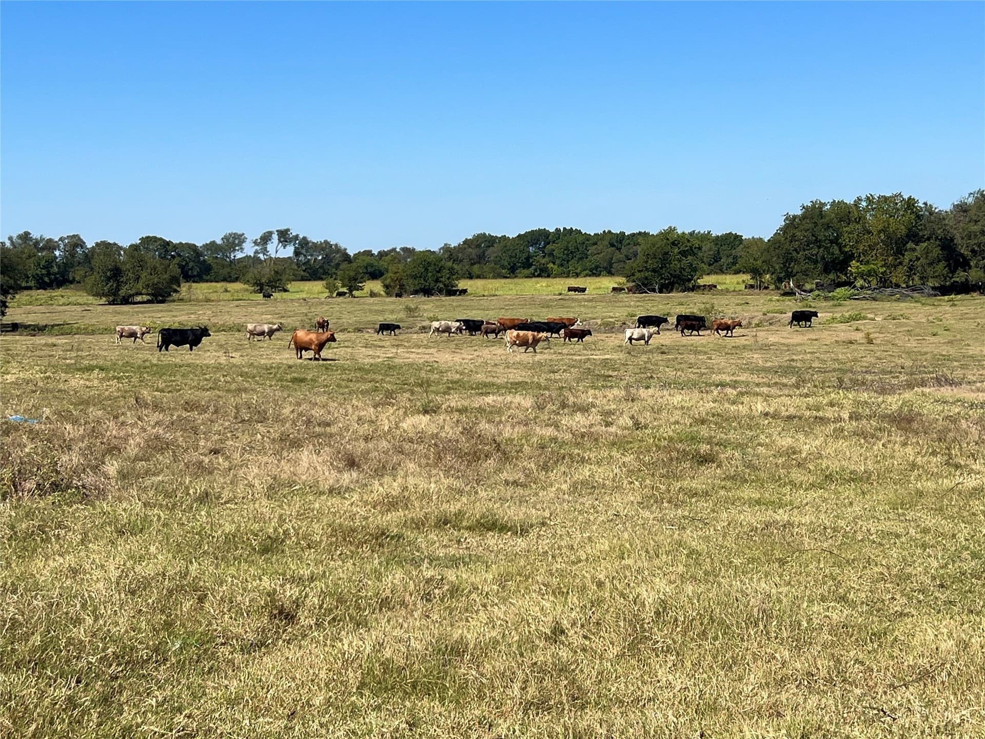 1,391.08 acres in Ellis County