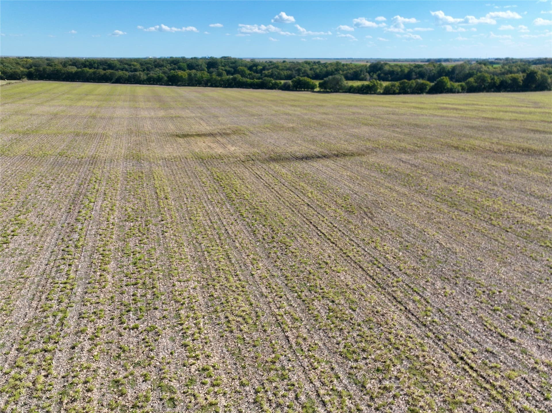 1,391.08 acres in Ellis County - photo 29