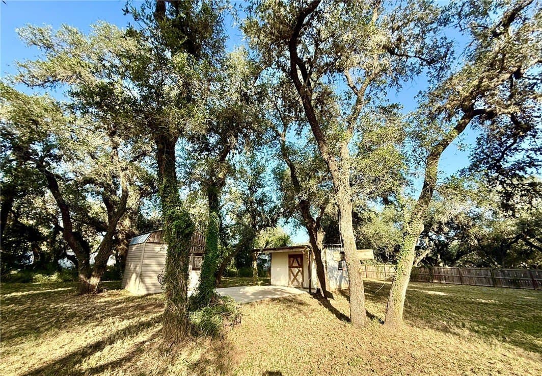 30,000 acres in Bee County - photo 33