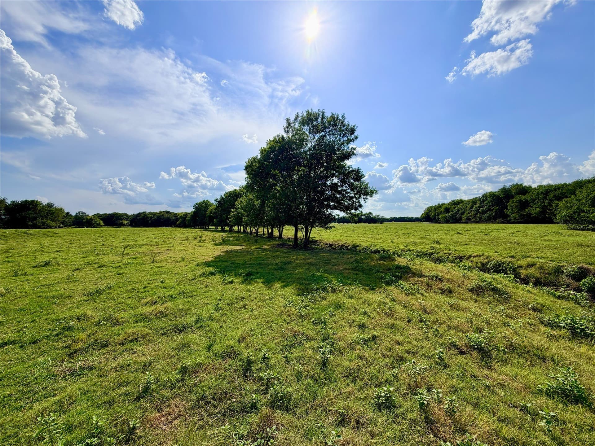 163.04 acres in Delta County - photo 37