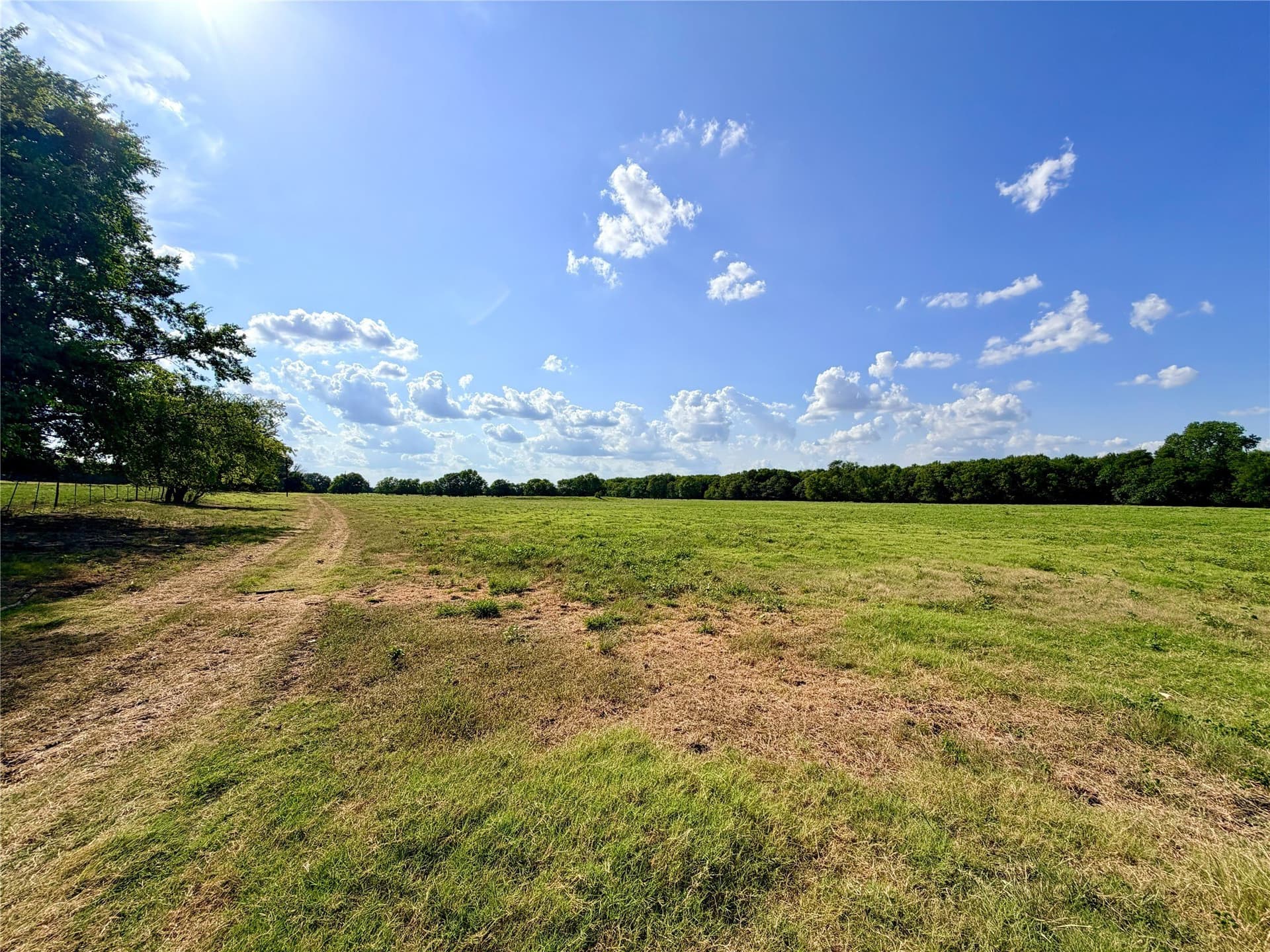163.04 acres in Delta County - photo 38