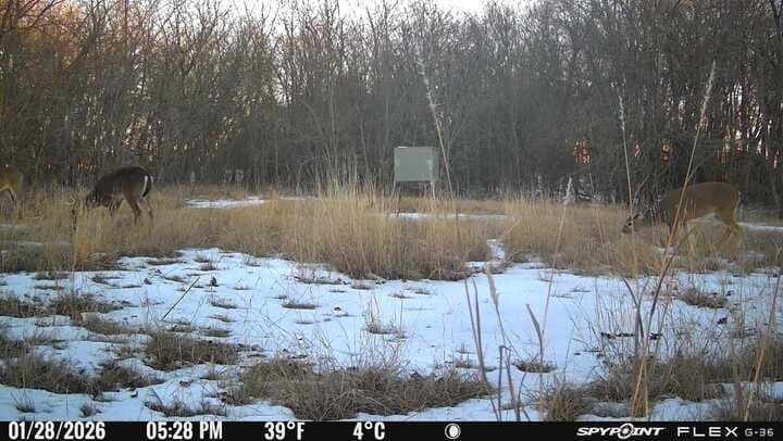 163.04 acres in Delta County - photo 40