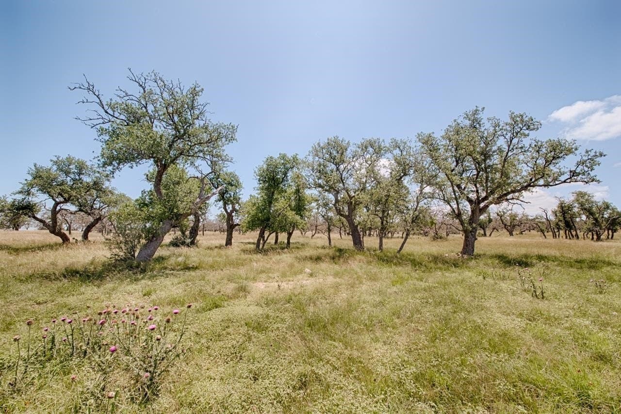 5.24 acres in Gillespie County gallery image 2