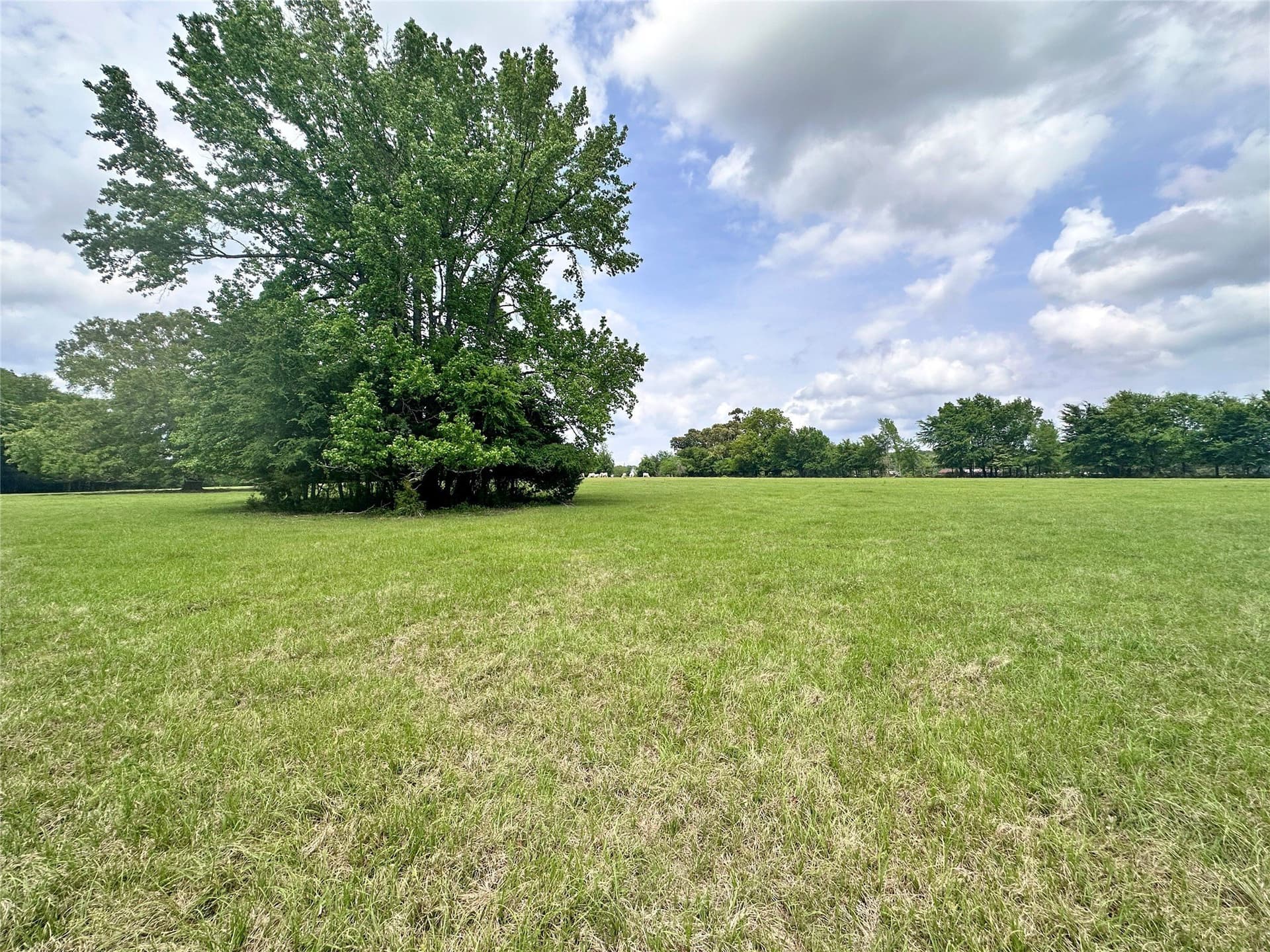 32.55 acres in Anderson County - photo 17