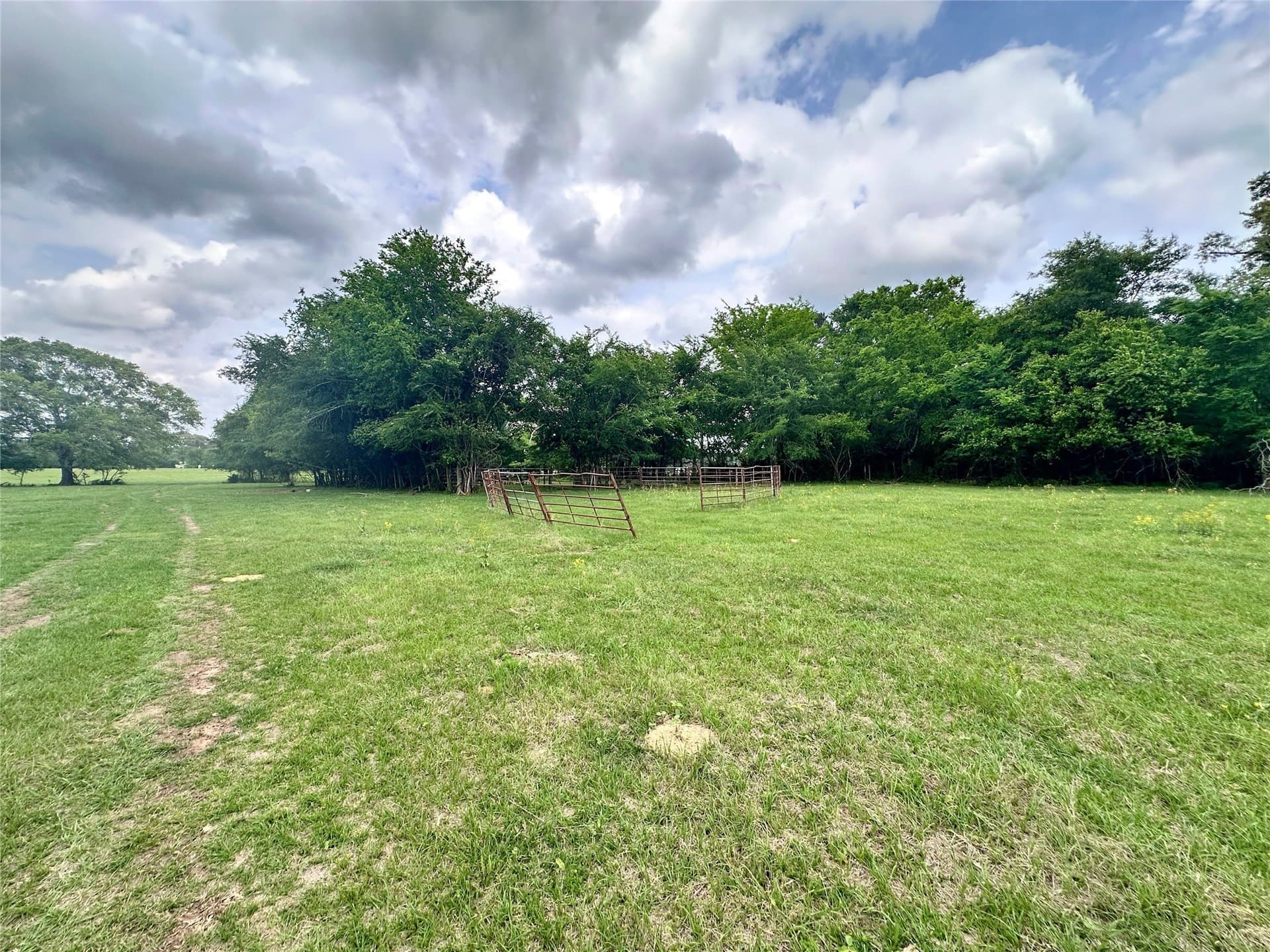 32.55 acres in Anderson County - photo 11