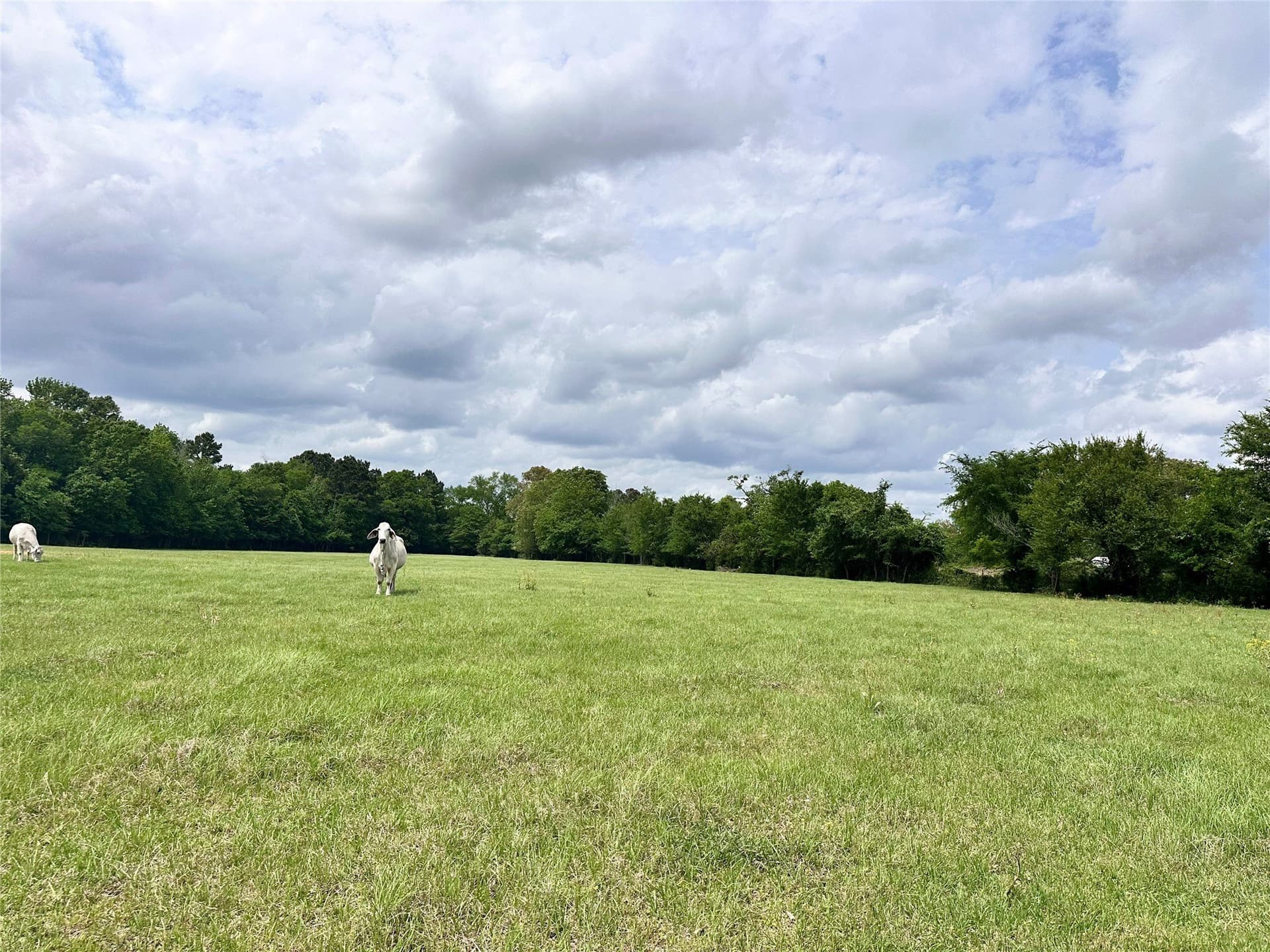 32.55 acres in Anderson County - photo 19